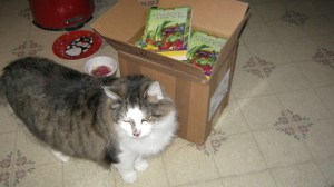 Preston helping me unpack my box of ARCs of TINE.