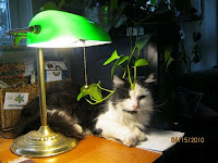 Birdie helping me write.