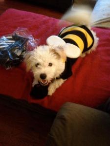 Finny_Halloween 2012