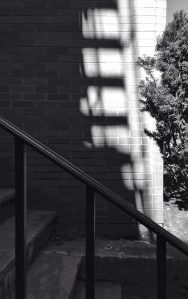 Photograph by Howard A. Phillips. Used with permission.