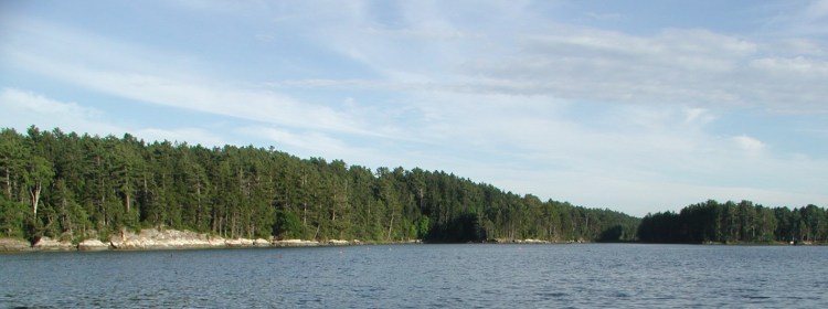 Damariscotta_River_Susan_OBrien