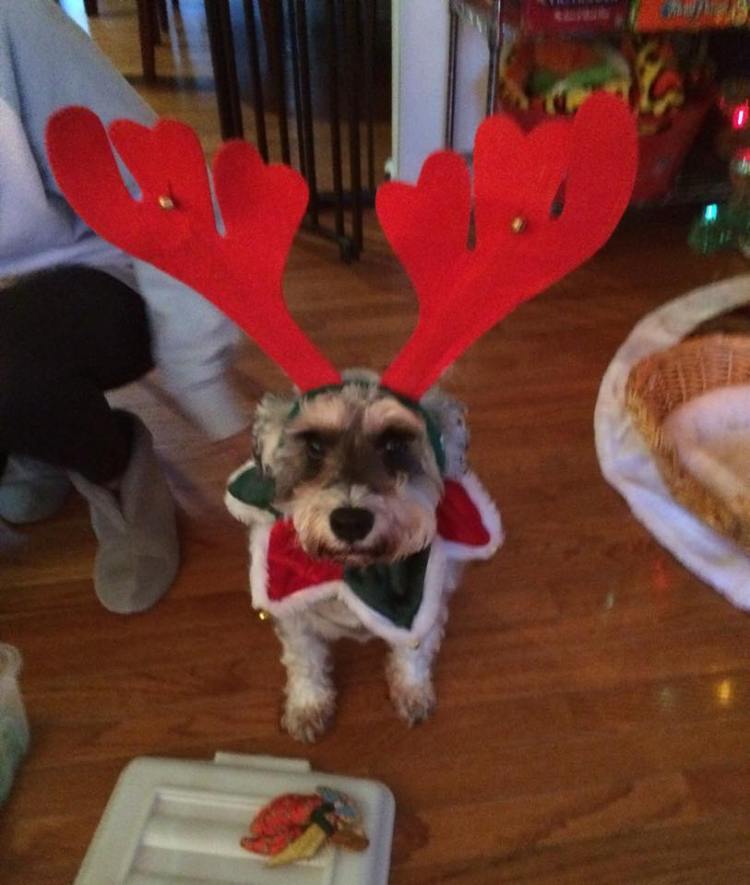 10406630_803190096389728_5263583349669740424_n