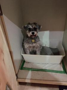 10404450_10204812738092587_7465020634869378212_n