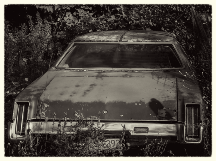 BackCar