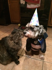 Shaggy getting congratulatory kisses from Tuffy