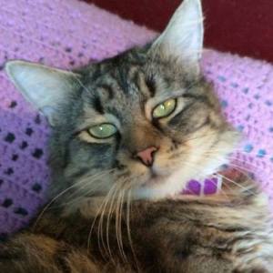 11002593_1007417812621306_7162049793313453157_n