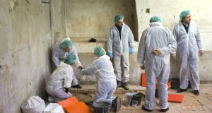 COMIENZA LA FASE FORENSE Y ANTROPOLÓGICA EN LA BÚSQUEDA DE CERVANTES