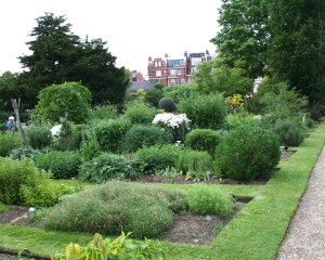 Chelsea_physic_garden