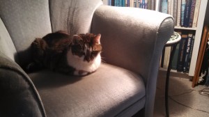 IMG_20150603_084117_406