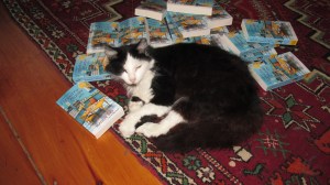 Birdy, the cat in the Country Store Mysteries - literally, in this case!
