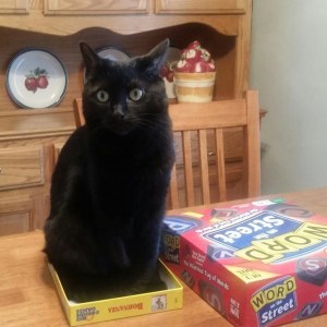 Beverly's naughty cat, Nicola