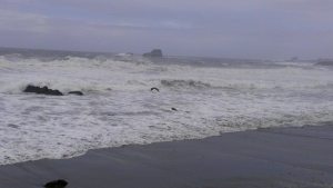 Central CA coastline