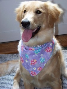 Christine Wenger's dog