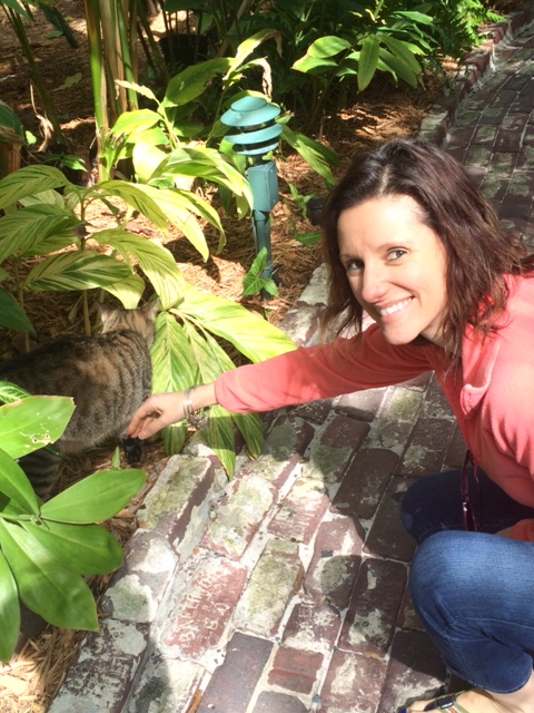 You know Liz couldn't resist the Hemingway cats