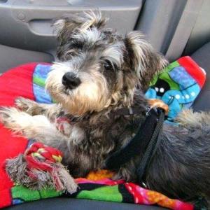 Her car ride home after her rescue