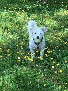 I like the summer way better!