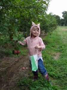 violaapplepicking