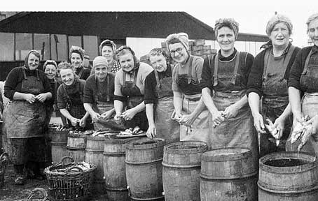 pic-3-herring-quines