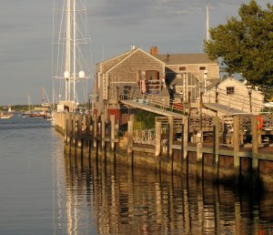 capewaterfreestockcrop