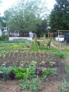 Yard mico farm Tyson