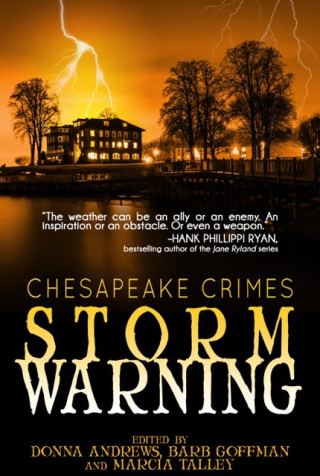 Chesapeake Crimes