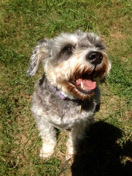 1186683_10201309783920922_2105305374_n