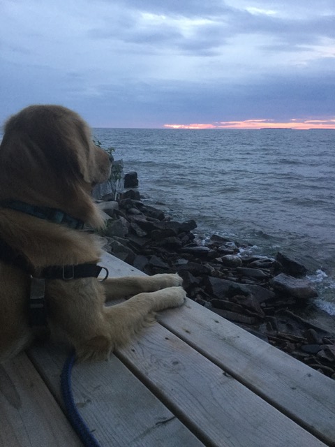 Gibbs enjoys the view